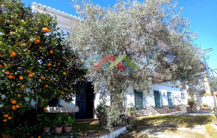 Image No.25-5 Bed Country House for sale
