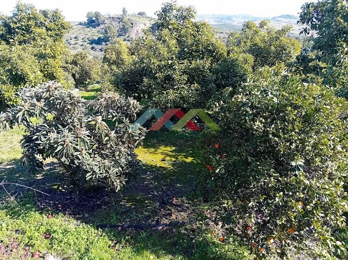 Image No.34-5 Bed Country House for sale