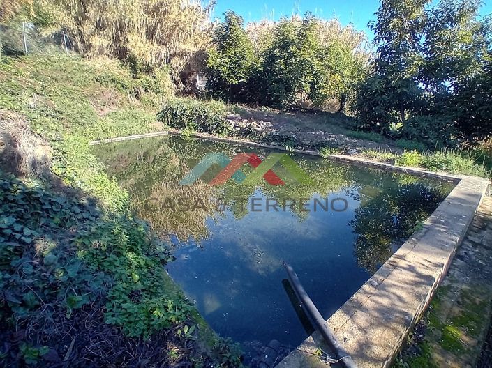 Image No.42-5 Bed Country House for sale