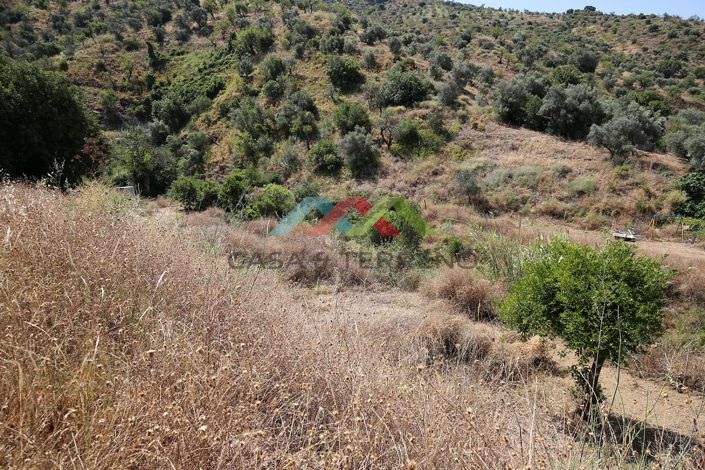 Image No.16-Land for sale
