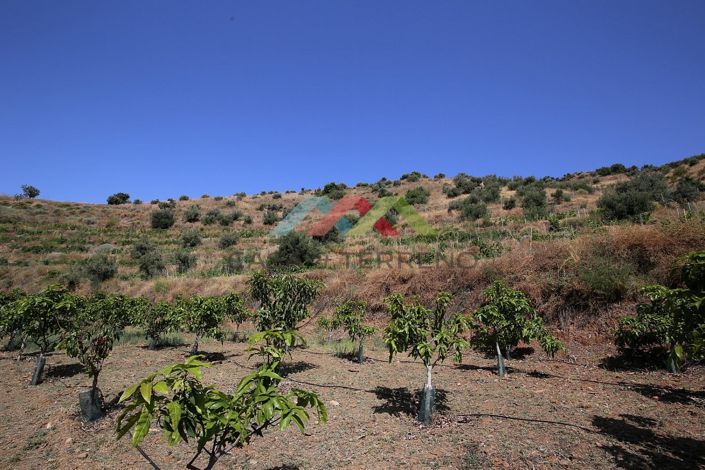 Image No.23-Land for sale