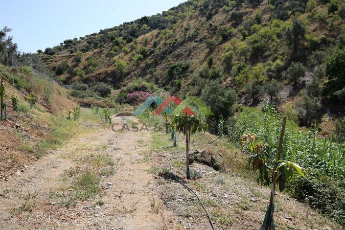 Image No.24-Land for sale