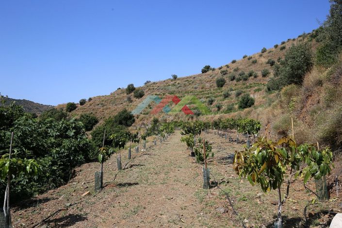 Image No.3-Land for sale