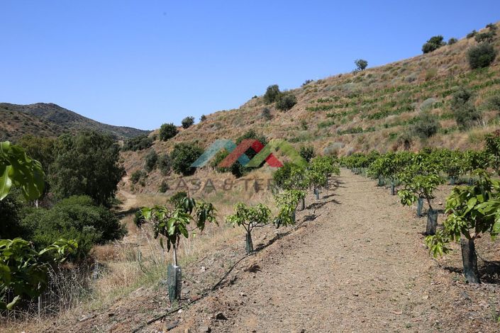 Image No.4-Land for sale