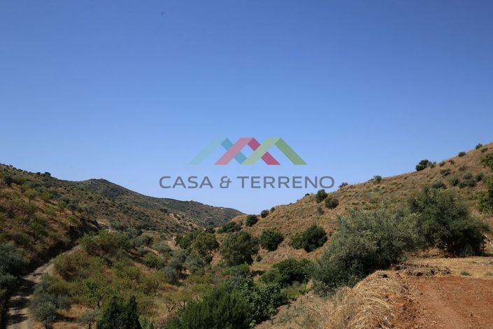 Image No.5-Land for sale