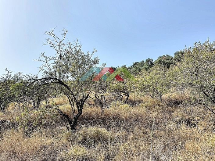 Image No.11-Land for sale