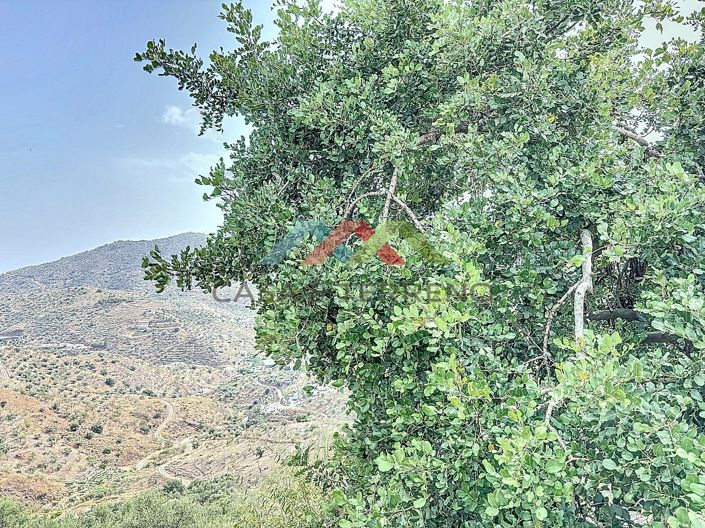 Image No.13-Land for sale