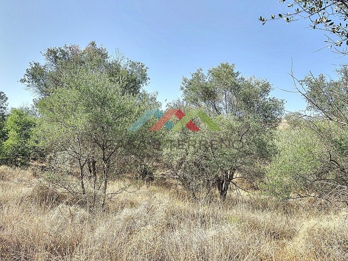 Image No.3-Land for sale