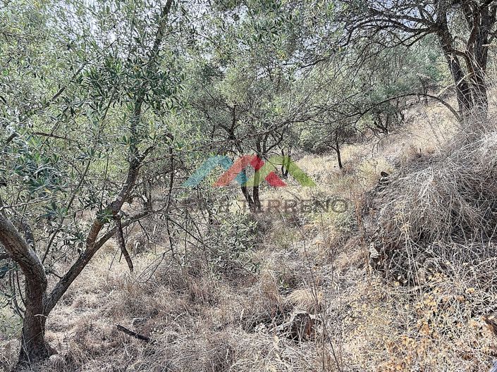 Image No.5-Land for sale