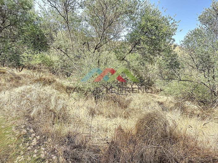 Image No.7-Land for sale