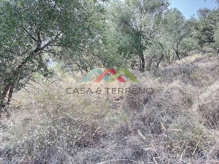 Image No.8-Land for sale
