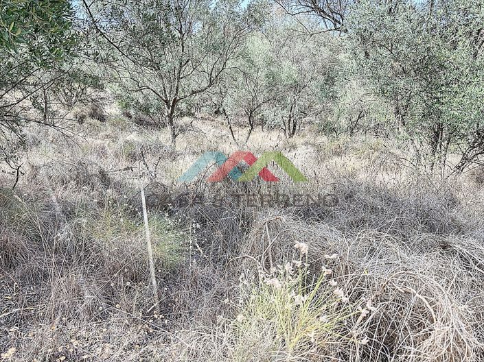 Image No.9-Land for sale