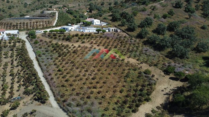 Image No.30-3 Bed Country House for sale