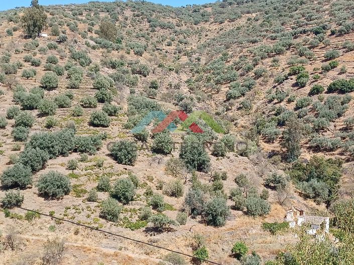 Image No.14-Land for sale