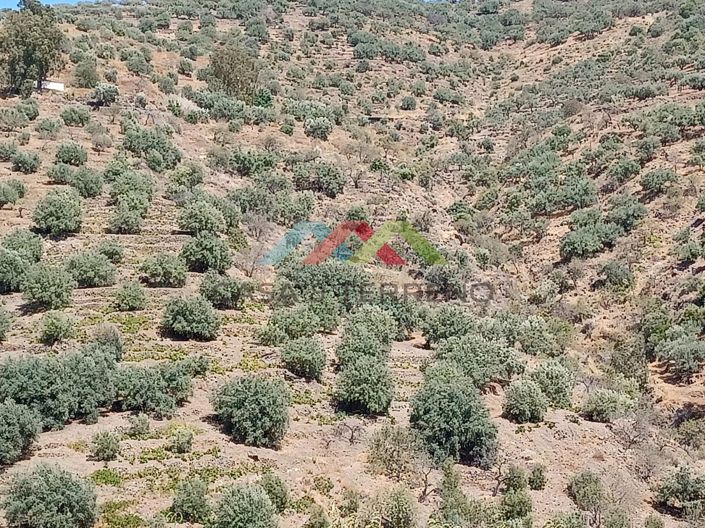 Image No.4-Land for sale