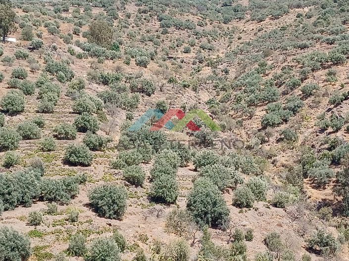 Image No.5-Land for sale