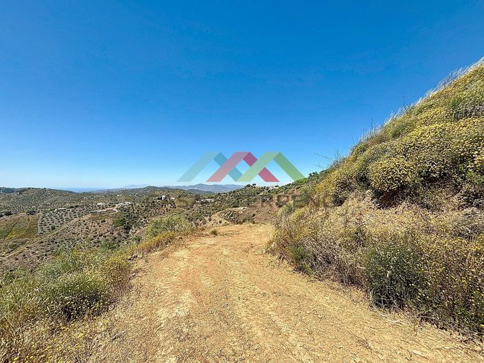 Image No.8-Terre à vendre à Canillas de Albaida