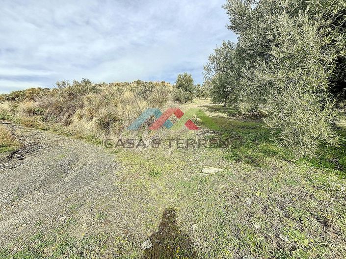 Image No.13-Land for sale