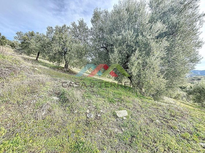 Image No.16-Land for sale