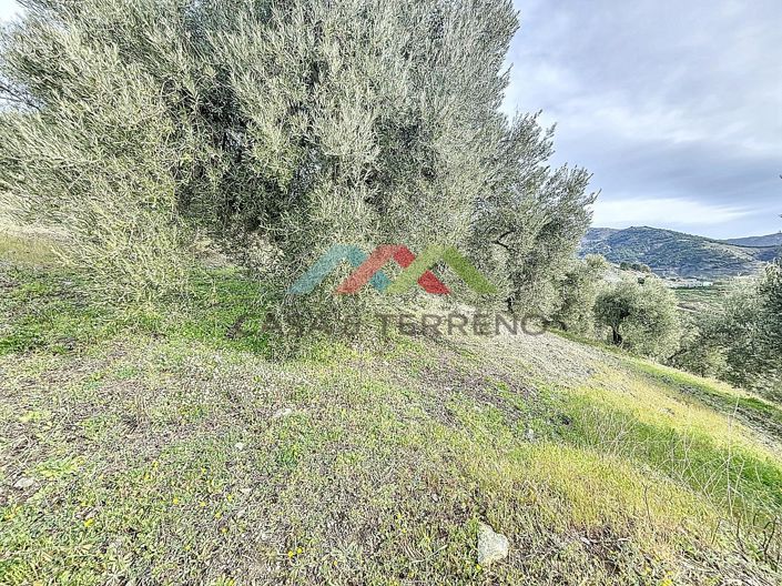 Image No.17-Land for sale