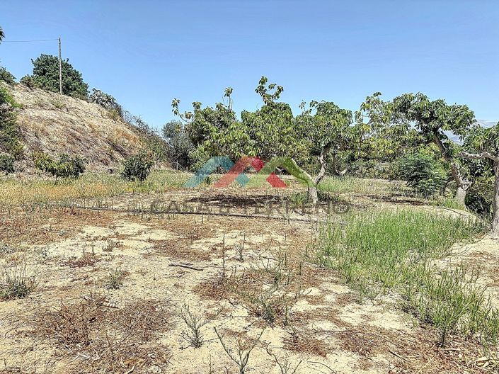 Image No.4-10 Bed Country House for sale