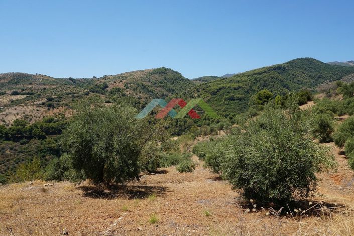 Image No.30-3 Bed Country House for sale