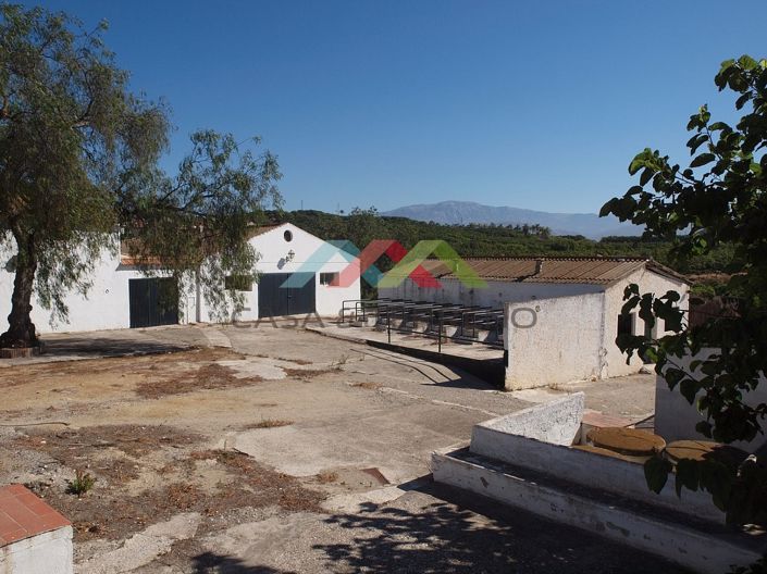Image No.26-10 Bed Country House for sale