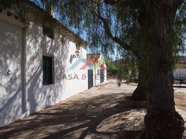 Image No.34-10 Bed Country House for sale