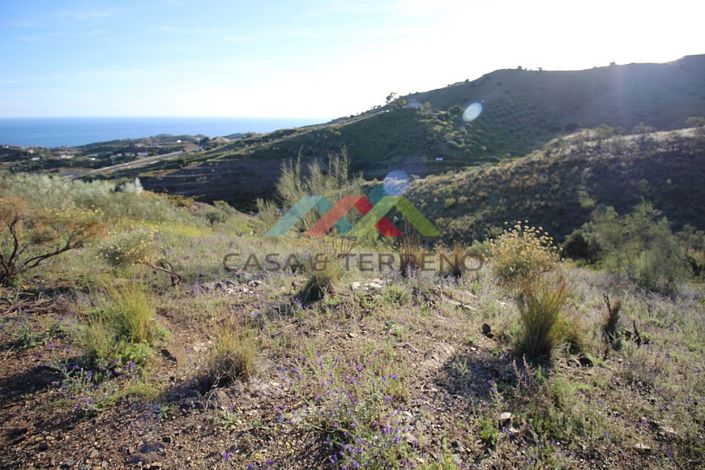 Image No.2-Terre à vendre à Benajarafe