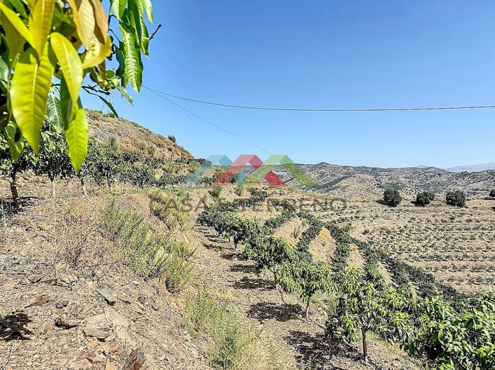 Image No.13-Land for sale