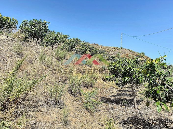 Image No.14-Land for sale