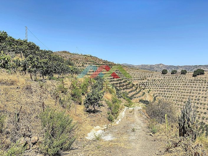 Image No.26-Land for sale