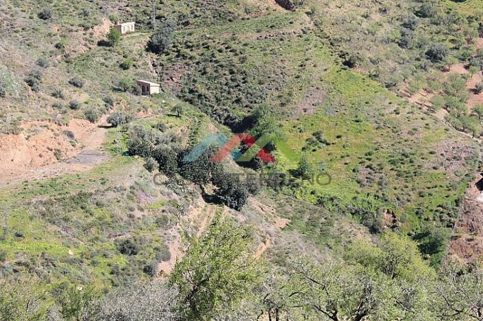 Image No.2-Land for sale