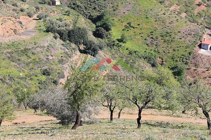 Image No.3-Land for sale