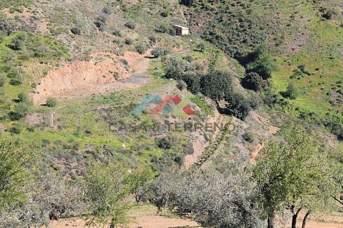Image No.8-Land for sale