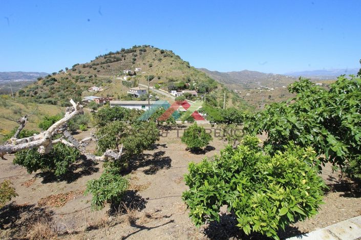 Image No.22-3 Bed Country House for sale