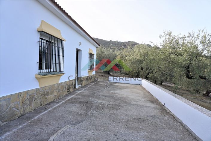 Image No.3-Maison de campagne de 3 chambres à vendre à Alcaucín