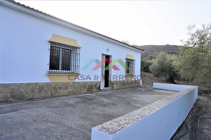 Image No.4-Maison de campagne de 3 chambres à vendre à Alcaucín