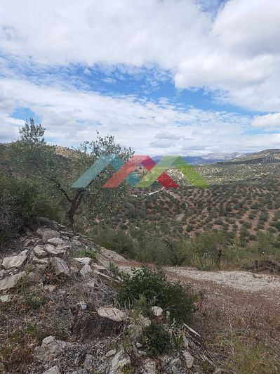 Image No.10-Land for sale