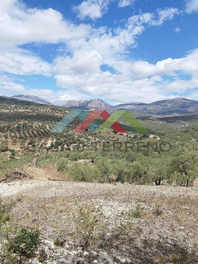 Image No.2-Land for sale