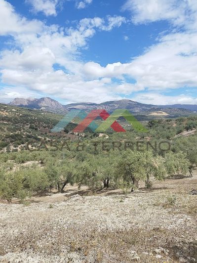 Image No.4-Land for sale