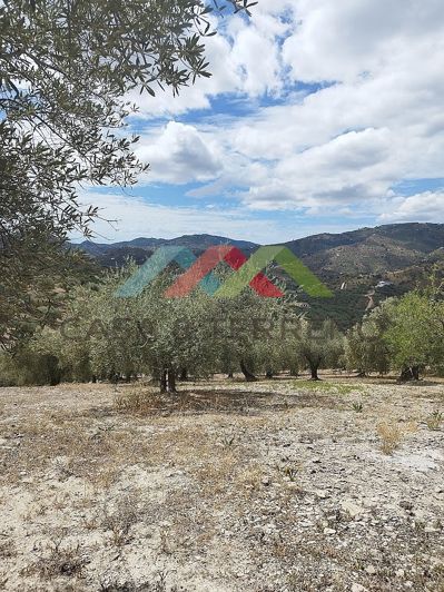 Image No.5-Land for sale