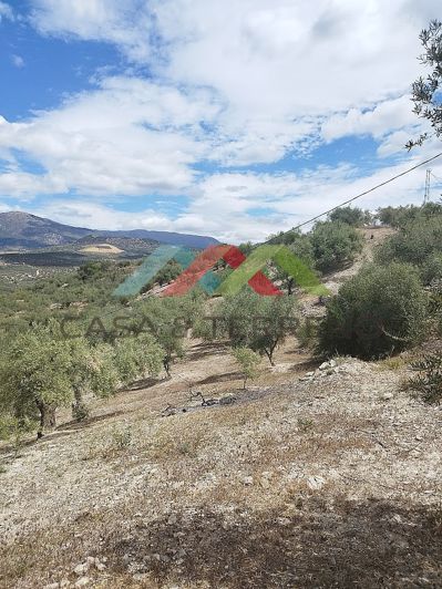 Image No.6-Land for sale