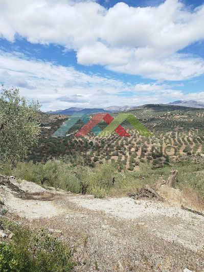 Image No.7-Land for sale