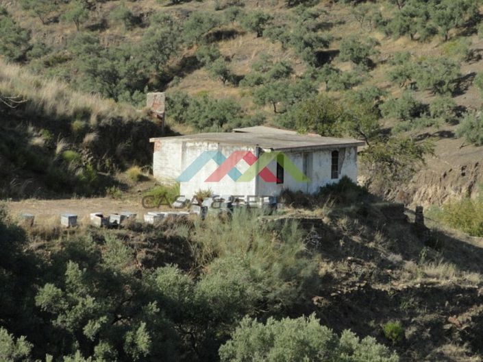Image No.3-Country House for sale