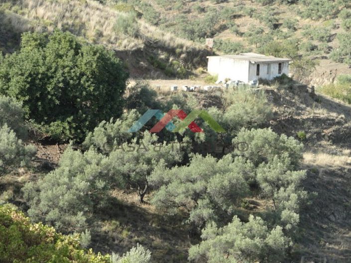 Image No.4-Country House for sale