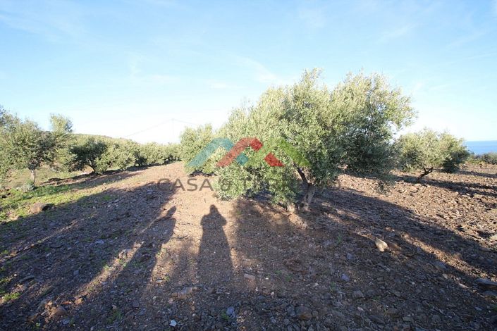 Image No.8-Terre à vendre à Benajarafe