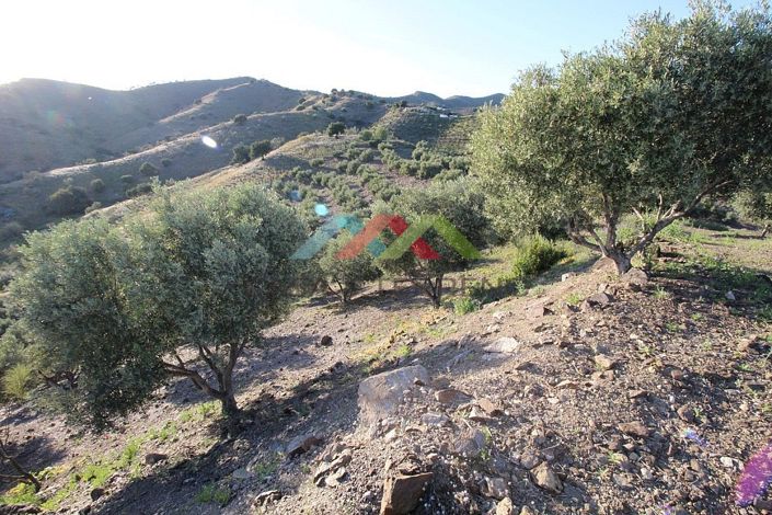 Image No.2-Land for sale