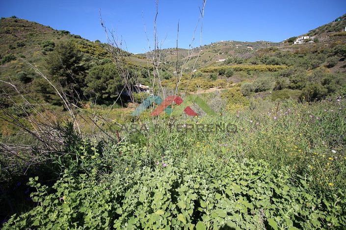 Image No.6-Land for sale