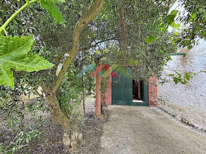 Image No.47-3 Bed Country House for sale